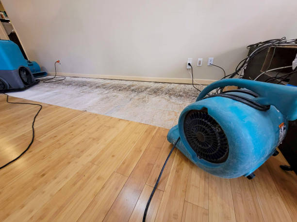 Professional Water Damage Repair technician working in Hollis, NY